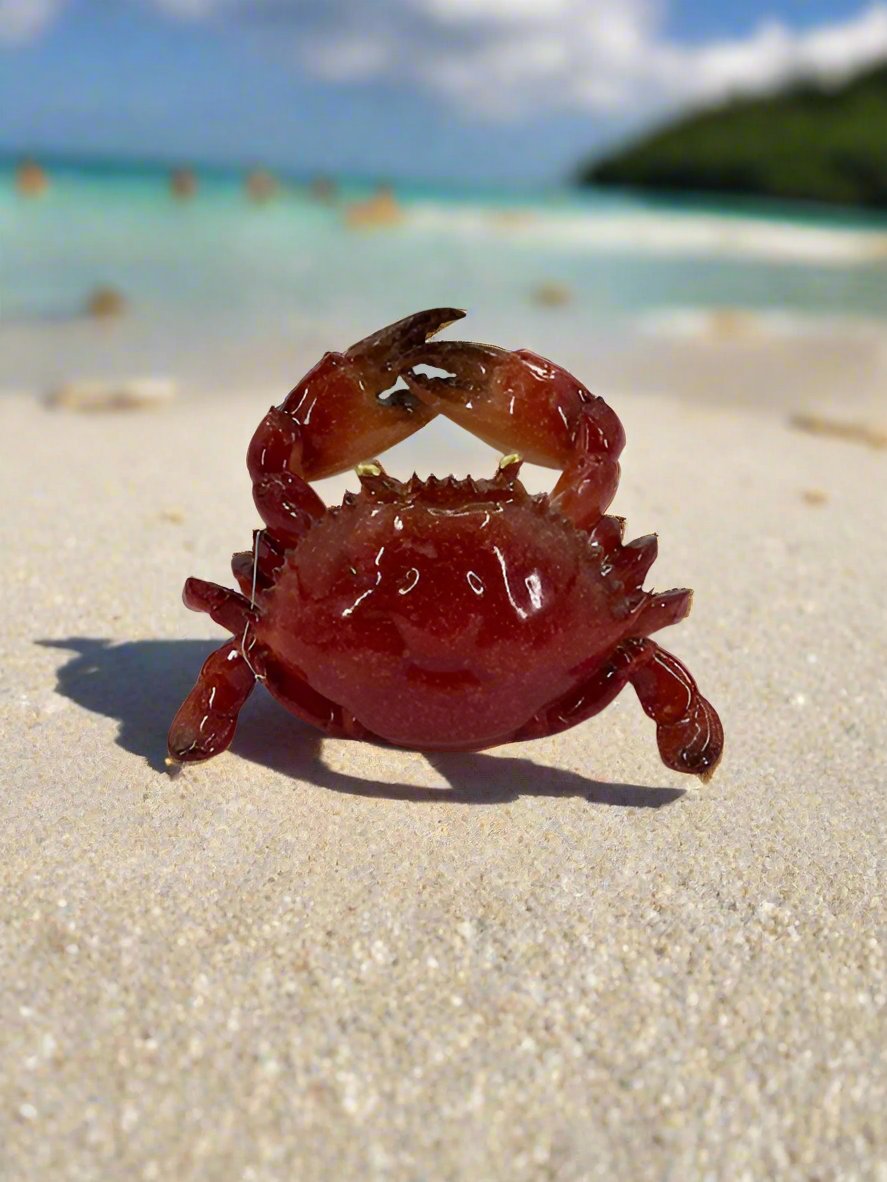 Red Crab Wine holder