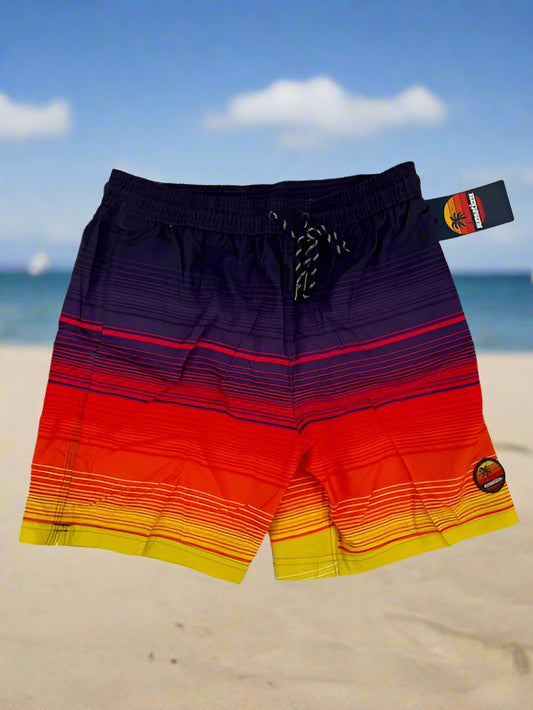 Men's Striped Swim Trunks